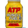 ATP muscle fuel