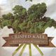 Grønnkålchips (Crisped kale)