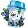 Q Skyr Blåbær