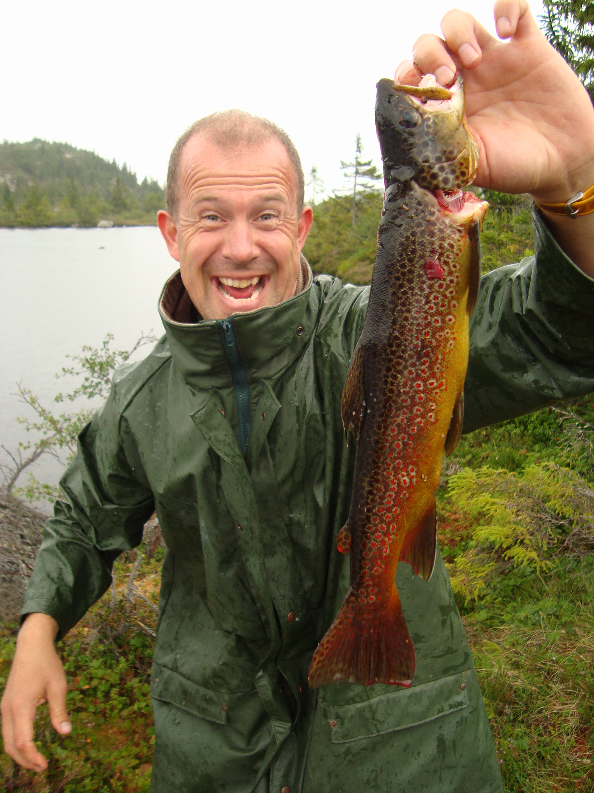 daleharald