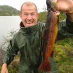 daleharald